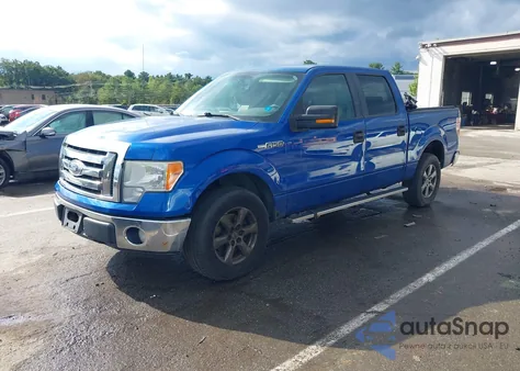 2010 Ford F-150 Fx4/Harley-Davidson/King Ranch/Lariat/Platinum/Xl/Xlt z USA, uszkodzony, nr VIN 1FTFW1EV7AFC41927